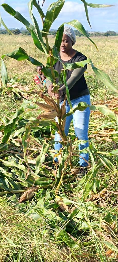 Give Clean Water. Give Life.