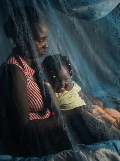 Protect Mothers, Newborns, and Children — Give the Gift of Mosquito Nets