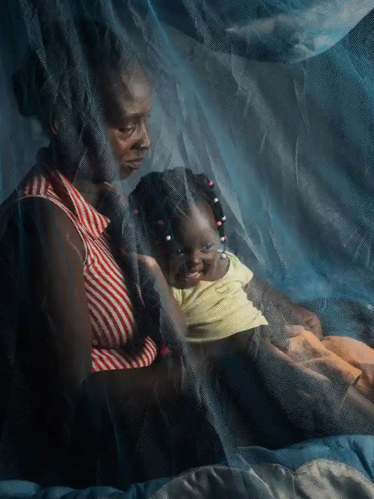 Protect Mothers, Newborns, and Children — Give the Gift of Mosquito Nets